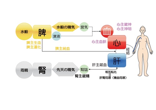 気、元気、衛気