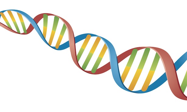 体質改善、遺伝子、卵子や精子の質