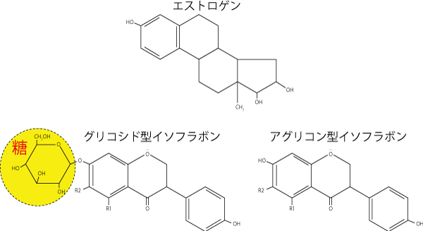 C\t{A댯A傩Azُ