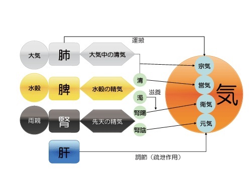 気、元気、衛気
