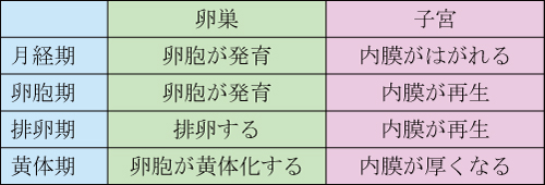 周期療法、臓腑、五臓六腑、奇恒の腑