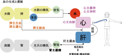 精神活動、中医学、奇恒の腑