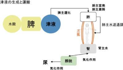 気虚、気滞、血虚、お血