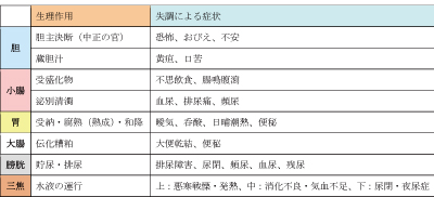五行、臓腑、腎気