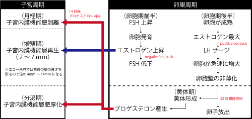 経絡、東洋医学、気血