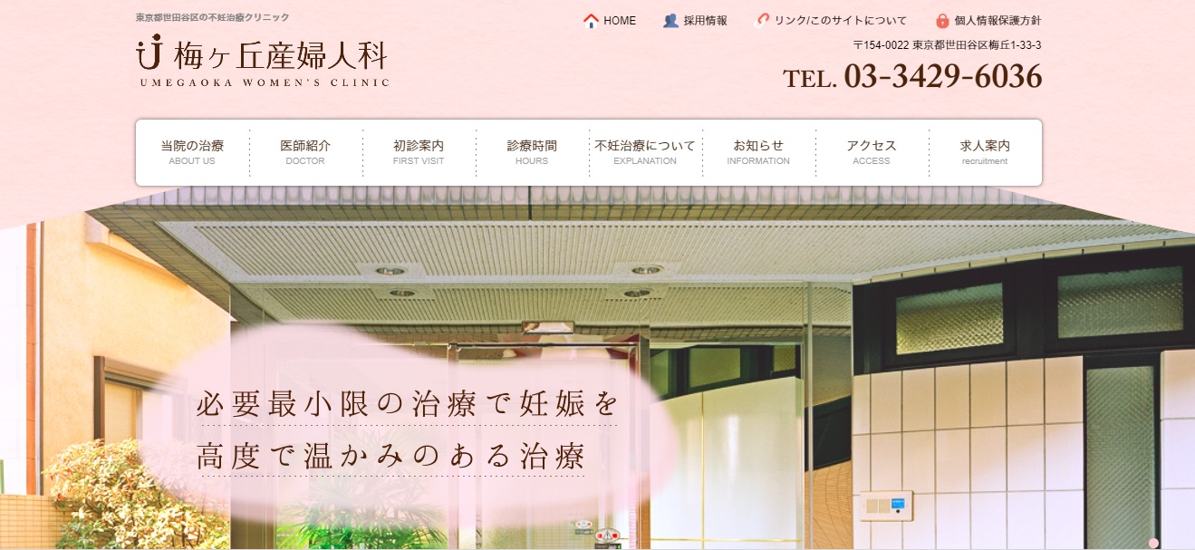 東京、体外受精、不妊、顕微授精