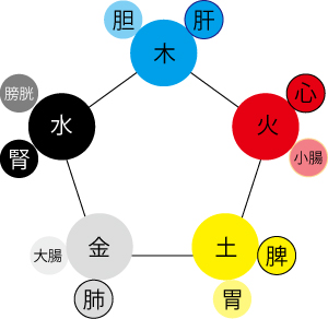 臓腑、五臓六腑、奇恒の腑