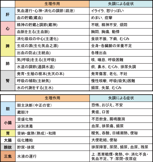 臓腑、五臓六腑、奇恒の腑