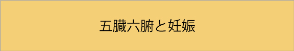 五臓六腑と妊娠