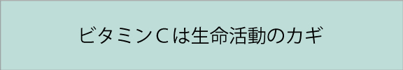 ビタミンCは生命活動の鍵